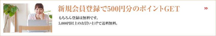 ���������Ͽ��500��ʬ�Υݥ����GET